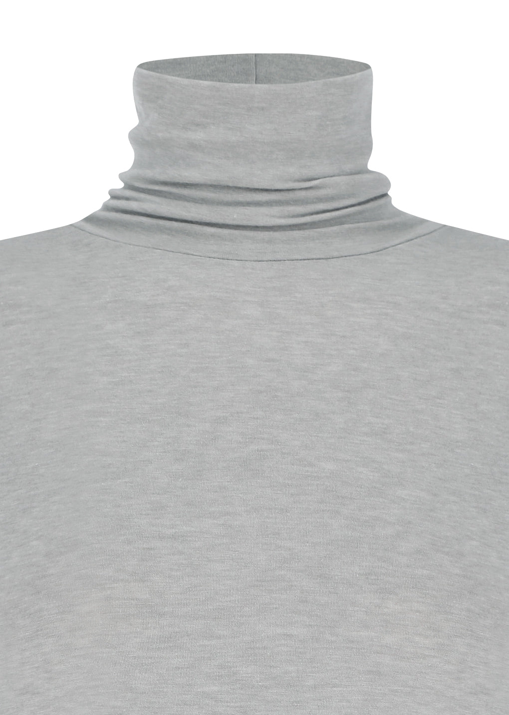 turtle t-shirt, light grey