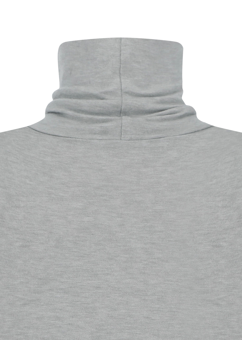 turtle t-shirt, light grey